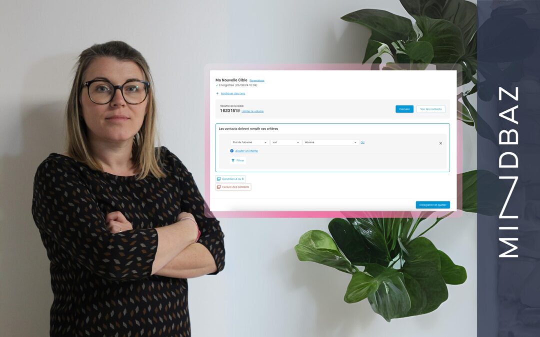 Una nueva interfaz de segmentos en Mindbaz